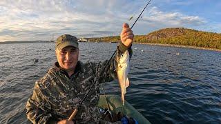 РЫБАЛКА ПО ПРИЛИВУ С ЛОДКИ / TIDE FISHING FROM A BOAT