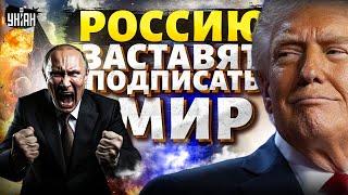 Переговоры Зеленского с Трампом! Россию ЗАСТАВЯТ подписать мир. В Кремле отреагировали