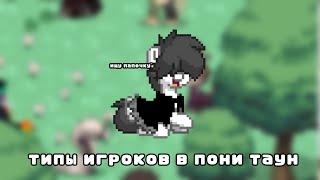 типы игроков в пони таун /pony town/