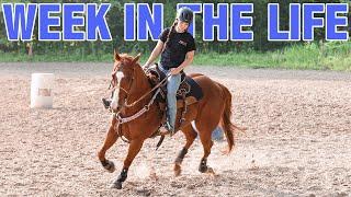 19 Year Old Equestrian NOT In College! Week In The Life!