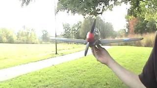 E-flite P-40 Warhawk 300 Flight Demonstration By CUSTOMER!