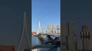  Crazy Architecture in Rotterdam | Unbelievable