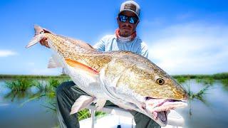 INSANE ACTION BULL REDFISH Venice Louisiana