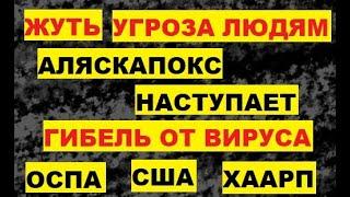 Жуть. Аляскапокс наступает. Угроза людям. Гибель от вируса. Оспа США HAARP Фэрбанкс Аляска Alaskapox