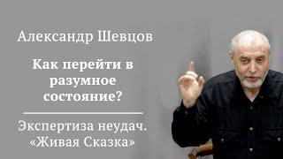 Как перейти в разумное состояние? Отрывок из вебинара "Живая сказка" | Александр Шевцов