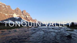 Hiking in Tonquin Valley Backcountry (Jasper National Park)