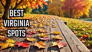 Fall Foliage in Virginia: Must-See Spots