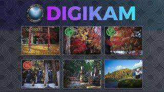 How to Organize your Pictures with Digikam (intro tutorial)