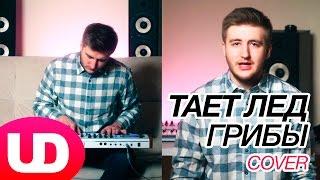 Тает Лед — Грибы (Cover) Полярный