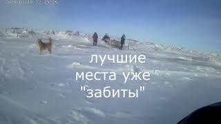 КРАЙ ЗЕМЛИ! КОЙДА! ЭКСПЕДИЦИЯ на БЕЛОЕ МОРЕ! ПОКАТУШКАнаСНЕГОХОДЕ! Поиск места для рыбалки! ч2