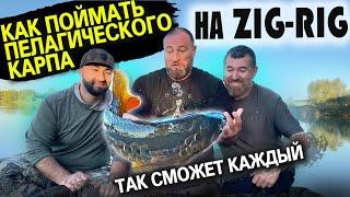 Как поймать пелагического карпа на оснастку zig-rig? Легко! Так сможет каждый!