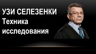 УЗИ селезенки: техника исследования