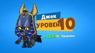 ВОЛК ДЖЕК 10 УРОВНЯ! ПРОКАЧАЛИ КРАСАВЧИКА НА НА НОВЫЙ 10 УРОВЕНЬ! Zooba