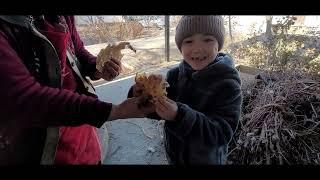 Uzbek Bread- Patir. Bread with Meat Cooked in Tandoori. Farm Life