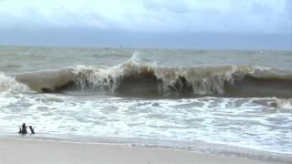 Greenpeace Canada Team Surveys BP Deepwater Oil Spill Aftermath