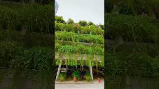 Зелёная парковка для авто Куала Лумпур 2023, ландшафтный дизайн города. Kuala Lumpur green parking