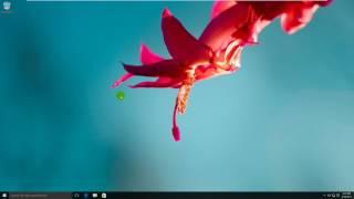 Prevent changing Theme on Windows 10