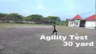 Agility Test - T-test