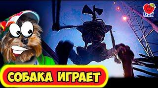 СИРЕНОГОЛОВЫЙ и его БРАТЬЯ против МАКСА ! СОБАКА ИГРАЕТ! (Siren Head Stranded) #8 Валеришка Макс