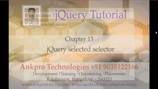 jQuery 13 - Selectors - Selected selector