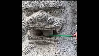 Trapped In Lion's Mouth  #shorts #amazingfacts #facts