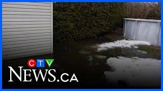 Flooding in Montreal suburb