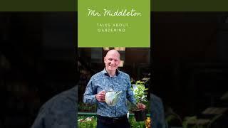 MR MIDDLETON TALKS ABOUT GARDENING | 005 | PEST CONTROL