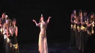 Bellydance America: Confessions of a Bellydancer NYC 2013