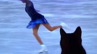 Cat trying to pull a Tonya Harding on Evgenia Medvedeva