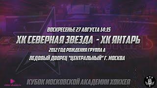 ХК СЕВЕРНАЯ ЗВЕЗДА  - ХК ЯНТАРЬ 2012 ГОД 14:15