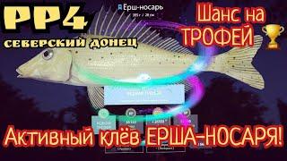 РР4. Отличная точка на Ерша-Носаря на Северском Донце! Шанс на Трофей!