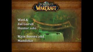 WoW: WotLK Classic – Zul'Gurub Hunter solo (Main Bosses and Mandokir)