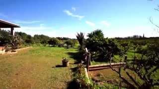 UNIQUE MALLORCA REAL ESTATE and PROPERTY MANAGEMENT