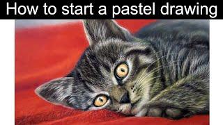 How to start a pastel drawing - Beginner cat drawing