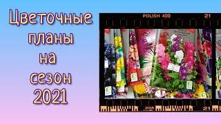 Какие цветы буду сеять в сезоне 2021. Любимцы, новинки, а некоторым и последний шанс