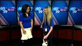 40/29 News Sunrise Pets On Set