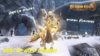 วิธีหา พาหนะ-วัตถุดิบ ระบบสร้าง (ทำฟาร์ม,ตกปลา,ขุดแร่) | World of Dragon Nest EP2