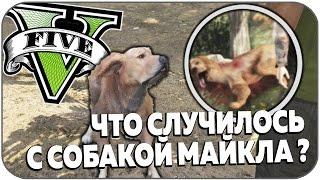 ЧТО СЛУЧИЛОСЬ С СОБАКОЙ МАЙКЛА В GTA V