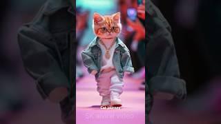 #hindisong #cat,s#funny#entertainment# SK aiviral #video Short