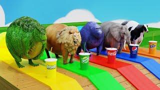 Choose Right Drink with Elephant Gorilla Cow Lion Dinosaur Wild Animals Games Fountain Crossing Game