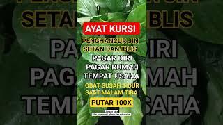 Ayat Kursi Pengusir Setan Penghancur Jin Setan Iblis Pagar Diri Rumah Tempat Usaha Obat Susah Tidur.
