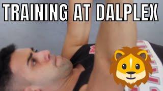 Dalhousie University Gym | Training at Dalplex in Halifax