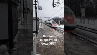 Высокоскоростной поезд Сапсан ЭВС1 #комарово