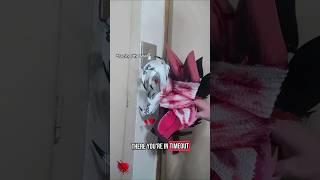 Timeout #ScarOfLove #Dragonpuppet #funny #pov #art #real #puppet #deer