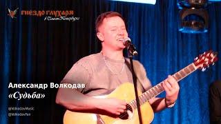 Александр Волкодав - Судьба (СПб, 10.02.2024) #гнездоглухаряспб #питер #голос #voice