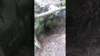 small caves at Indian Falls conservation area  July 16, 2023