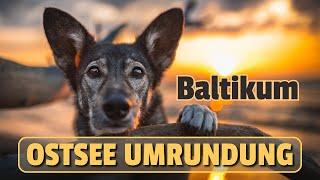 Baltikum: Lost Places, Wildpferde & Bernsteinfund | Ostseeumrundung 2024 - Episode 3