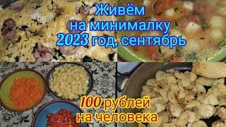 Живём на минималку . 100 рублей на человека.Сентябрь, 2023 год