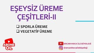 4) EŞEYSİZ ÜREME ve ÇEŞİTLERİ-II (Ercan Hoca ile Biyoloji)