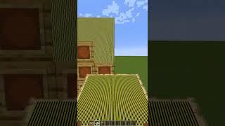 Minecraft Map Illusion #minecraft #shorts